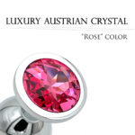 Steel Crystal Anal Plug - AN01